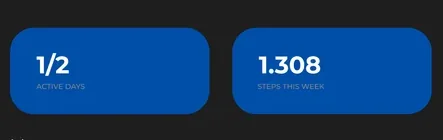 Statistik FWM: hari aktif dan langkah mingguan.